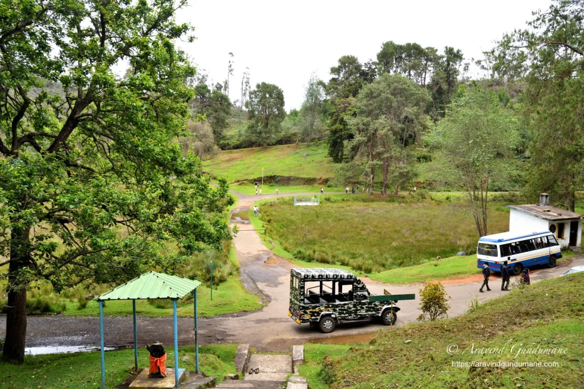 Berijam Lake Vehicle Safari