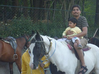Horse Ride